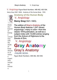 그레이아나토미 해부학의 제5권 혈관학의 도해 그림책 (Gray’s Anatomy,V. Angiology .FIGURE BOOK.by Henry Gray)